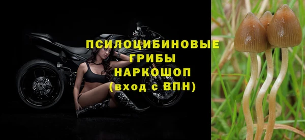 МДПВ Абинск
