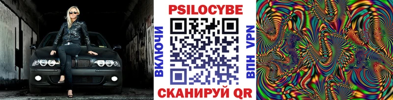 Галлюциногенные грибы Psilocybe  Ярославль 