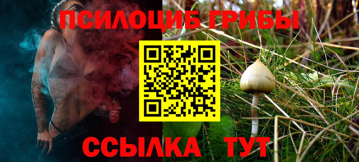 Галлюциногенные грибы Psilocybine cubensis  Вход с VPN  наркошоп  Ярославль  Галлюциногенные грибы Magic Shrooms 